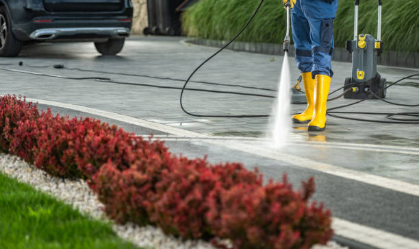 Animal Enclosure Cleaning in Montgomery, OH